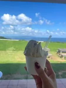 ミルミル本舗 本店