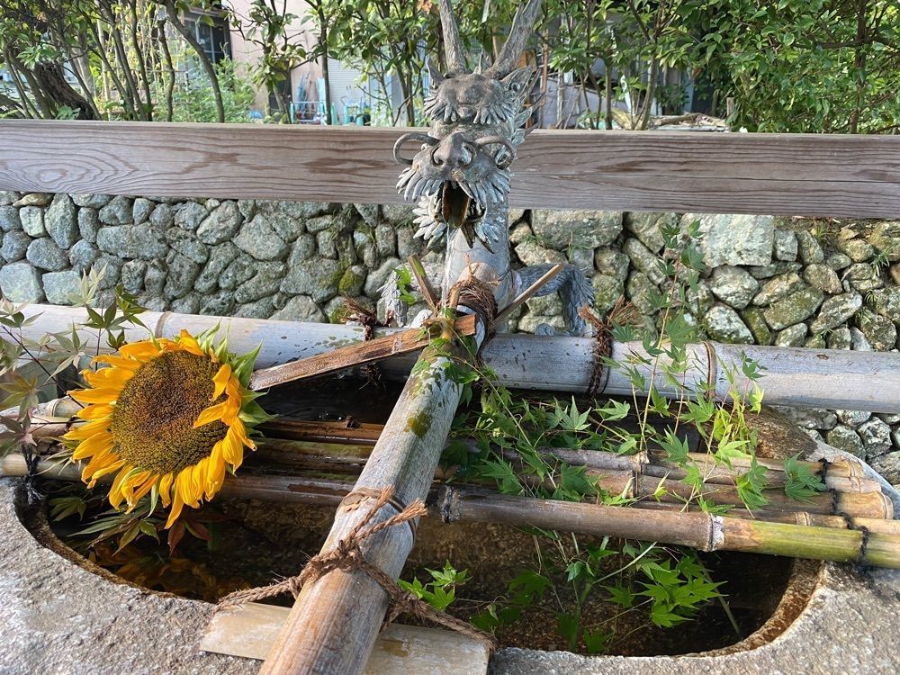 hakuさんが投稿した龍田神社に関する口コミの画像