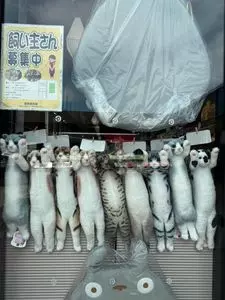 Pasar 羽生 ( 羽生PA下り線 )