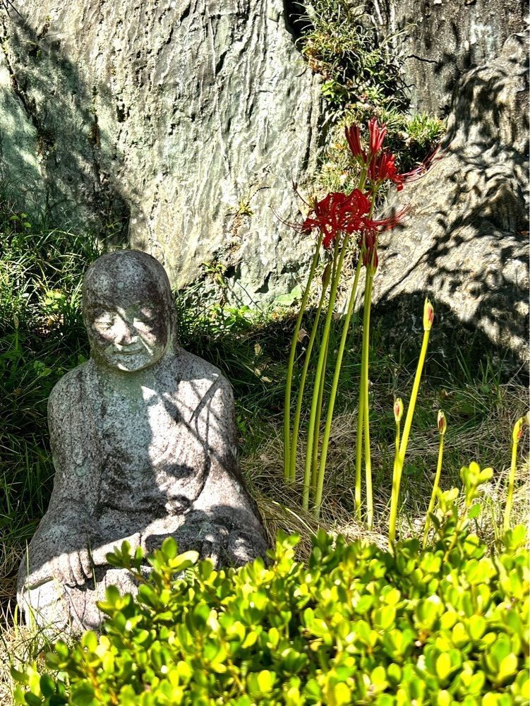 ビンカさんが投稿した金剛寺に関する口コミの画像