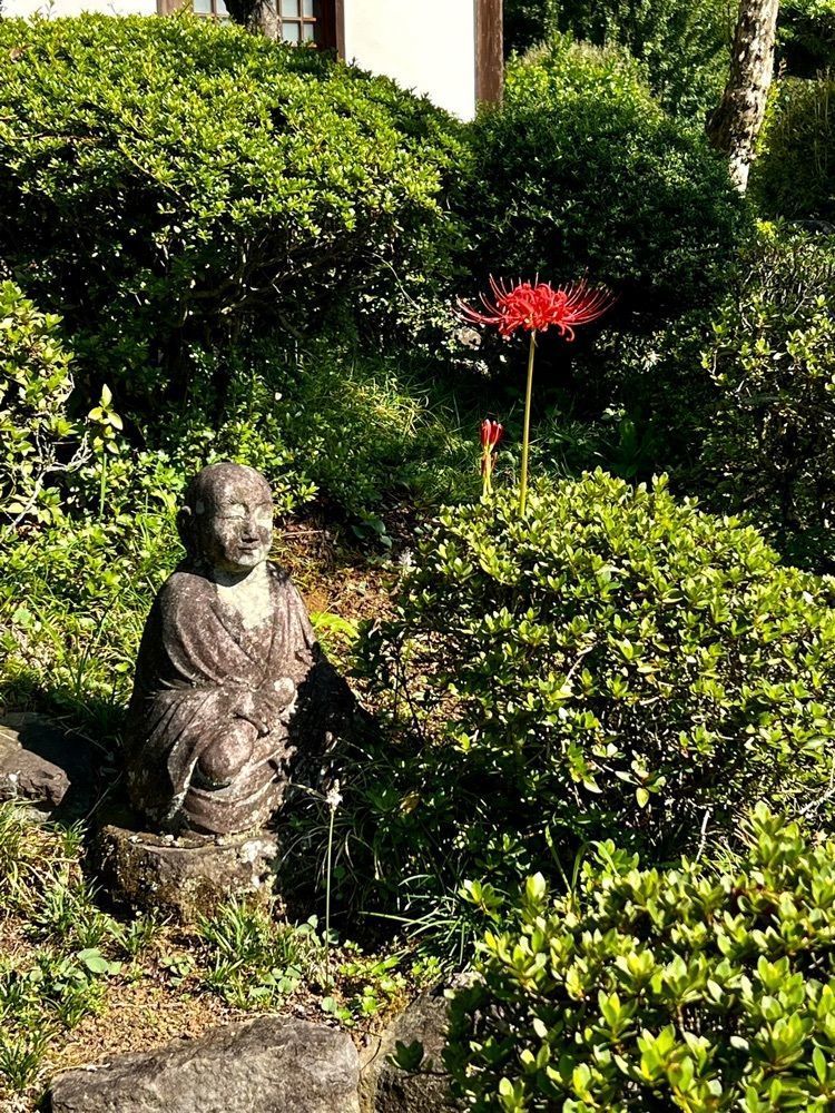 ビンカさんが投稿した金剛寺に関する口コミの画像