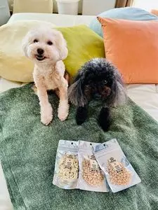 ドッグボックス ハウステンボス店（DOG BOX）（Cafe do Box）
