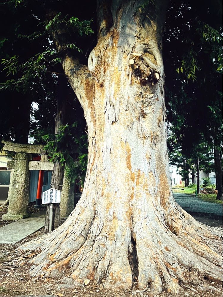 猫なぎ。さんが投稿した与次郎稲荷神社／六田の石鳥居に関する口コミの画像
