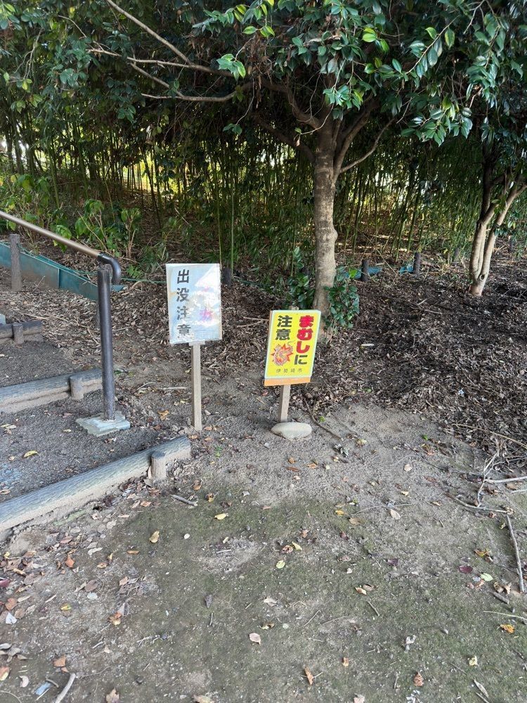 からっ風②さんが投稿したもみの木に関する口コミの画像