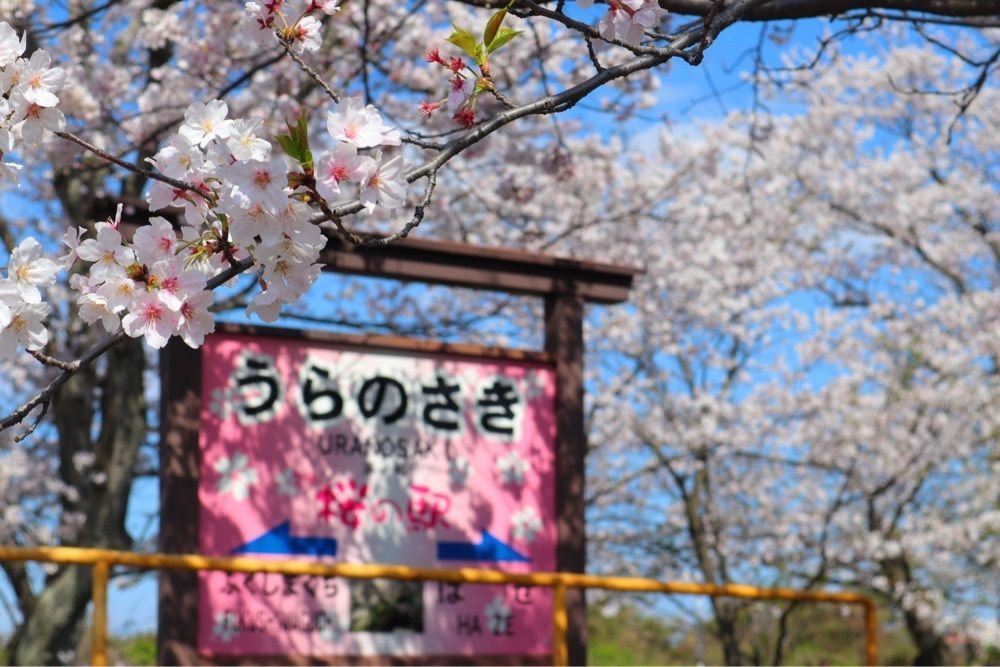 mt0130さんが投稿した浦ノ崎駅に関する口コミの画像