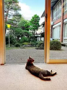 青松館（セイショウカン）