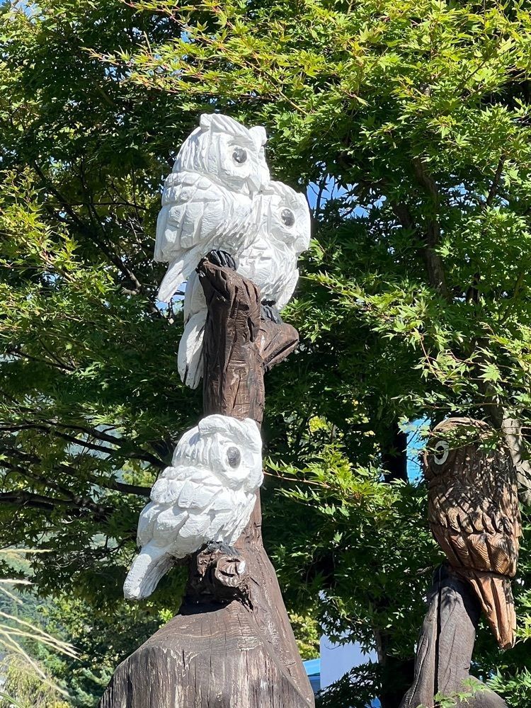 ビンカさんが投稿した河口湖クラフトパークに関する口コミの画像
