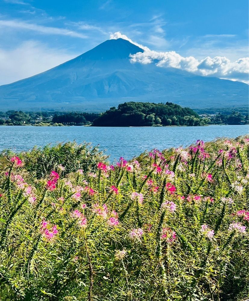 ビンカさんが投稿した河口湖クラフトパークに関する口コミの画像