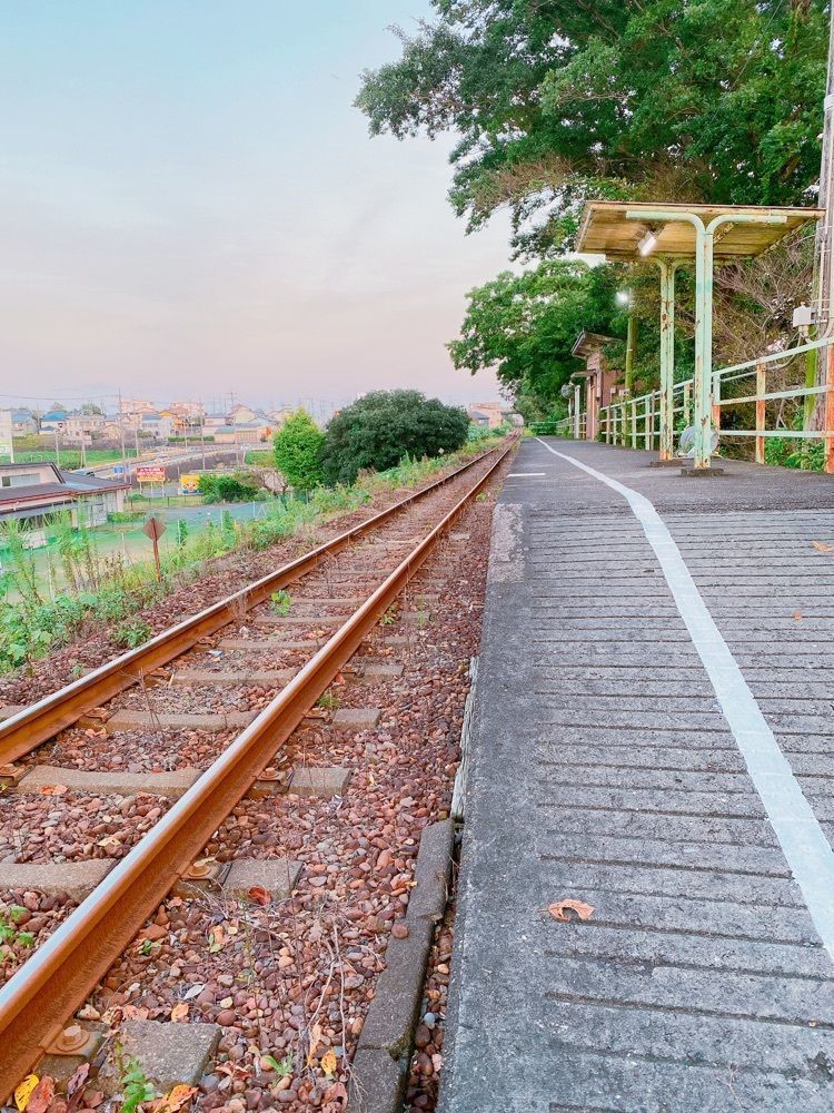 鉄道こまちさんが投稿した西掛川駅に関する口コミの画像