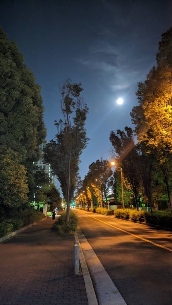 shin-emonさんさんが投稿した大阪市立大学　杉本キャンパスに関する口コミの画像