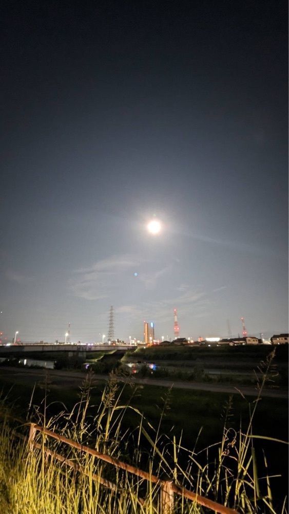 shin-emonさんさんが投稿した大阪市立大学　杉本キャンパスに関する口コミの画像