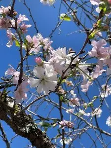菊池公園