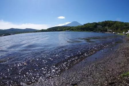 河口湖自然生活館