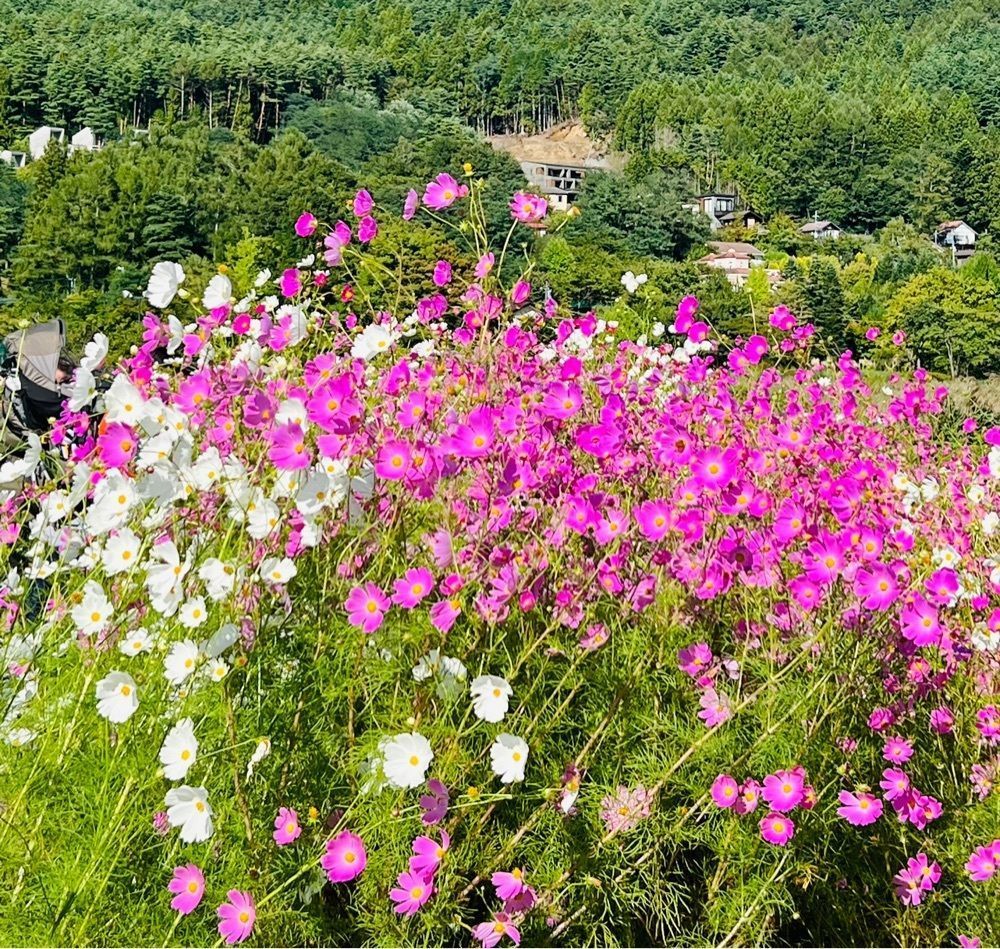 ビンカさんが投稿したおおいし屋（大石農産物直売所）に関する口コミの画像