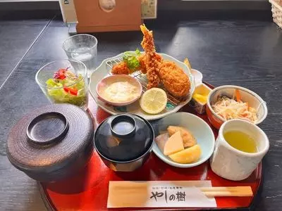 やしの樹（やしのき）
