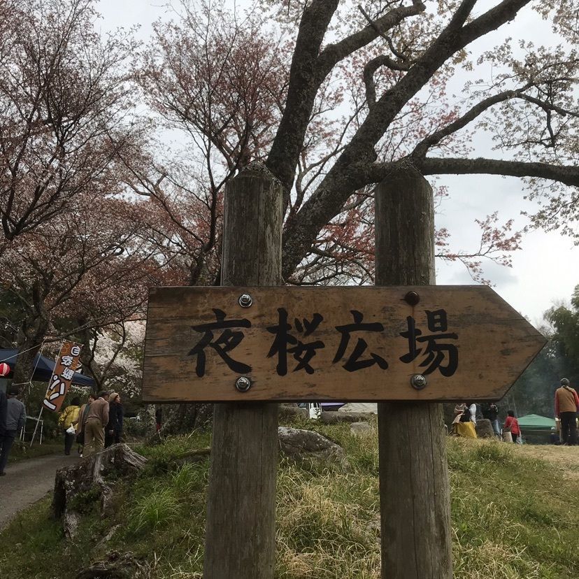 はあるさんが投稿した三多気のサクラに関する口コミの画像