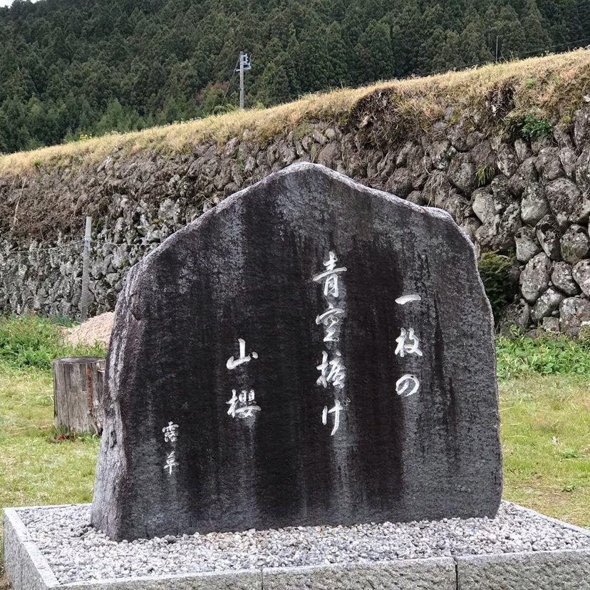 はあるさんが投稿した三多気のサクラに関する口コミの画像