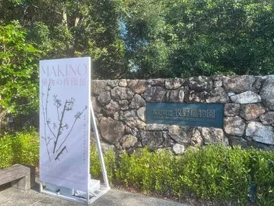Botanical Shop nonoca（野の花）