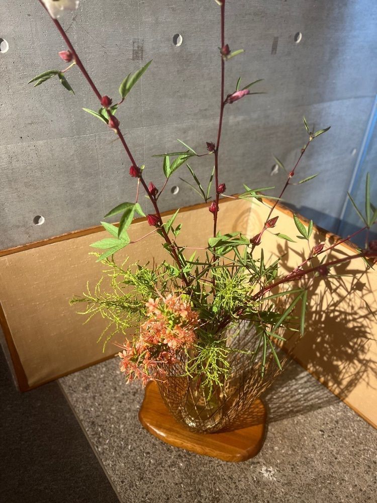teruteru  sanpoさんが投稿したBotanical Shop nonoca（野の花）に関する口コミの画像