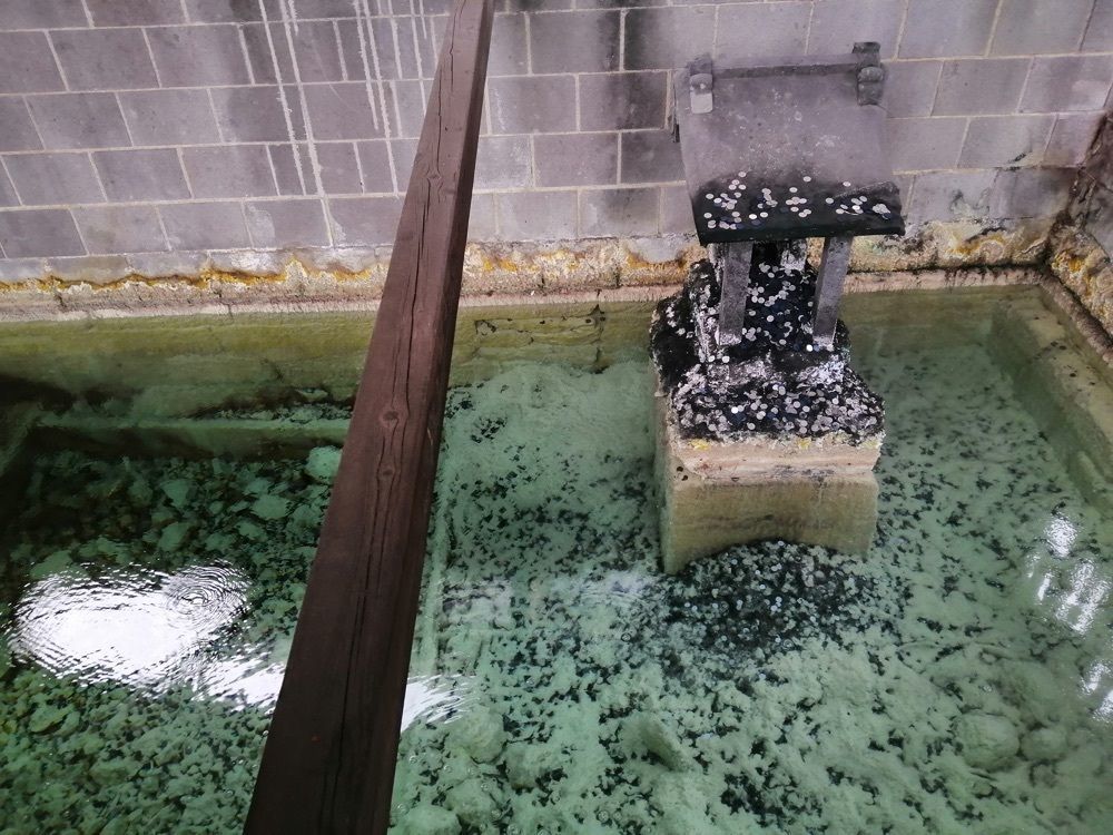 yuyuさんが投稿した白旗の湯に関する口コミの画像