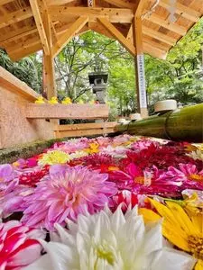 白根神社