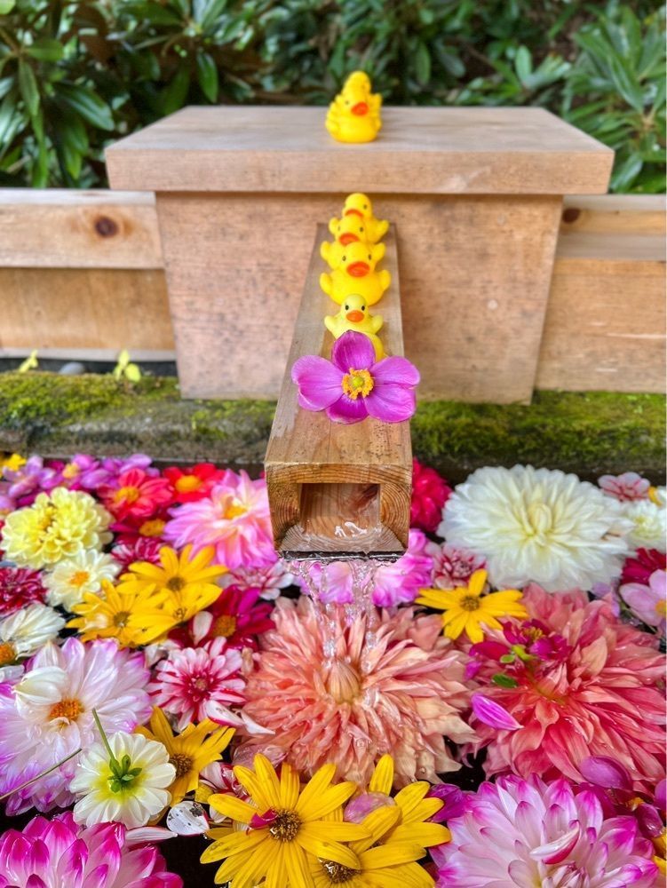 yuyuさんが投稿した白根神社に関する口コミの画像
