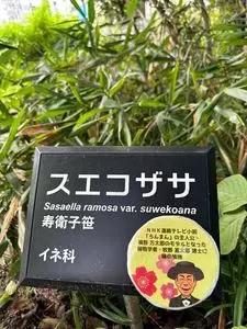 仙台市野草園