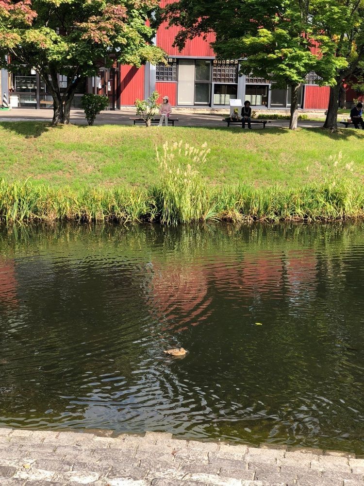 それなはとけさんが投稿したそば処 ひよりに関する口コミの画像