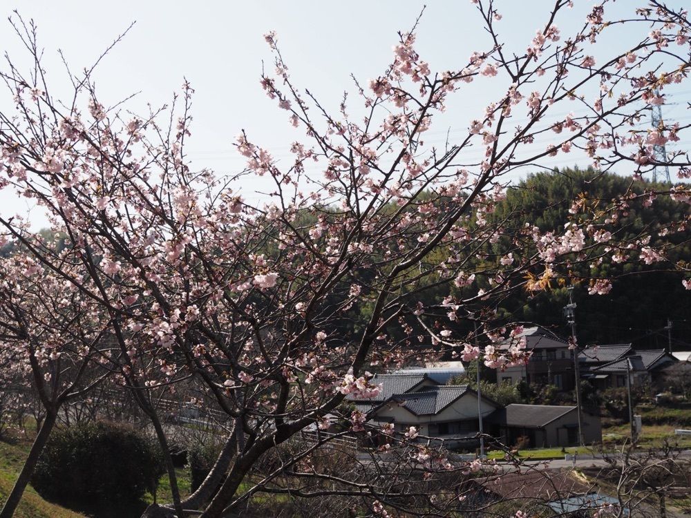 なおなおさんが投稿したセブンイレブン 幸田六栗に関する口コミの画像