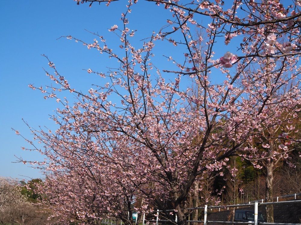 なおなおさんが投稿したセブンイレブン 幸田六栗に関する口コミの画像