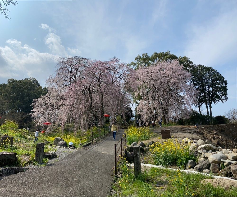 surumeさんが投稿した観光会館 土蔵に関する口コミの画像