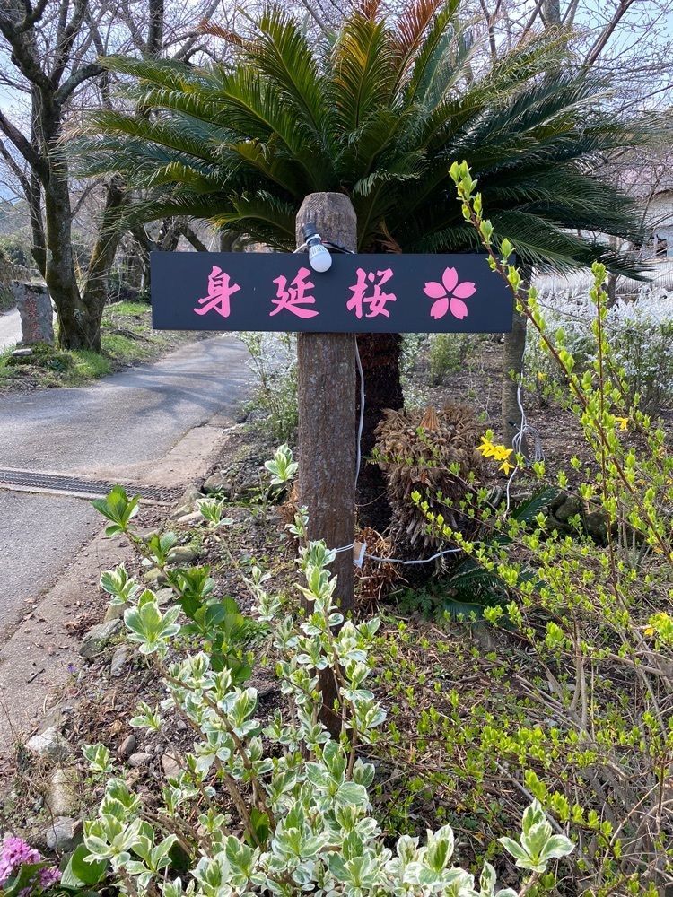 surumeさんが投稿した観光会館 土蔵に関する口コミの画像