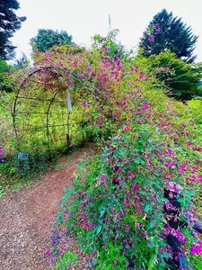 仙台市野草園