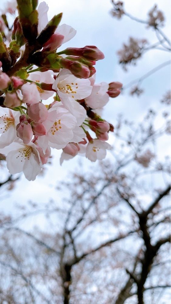 じゅんじゅんさんが投稿した三の丸スクエアに関する口コミの画像