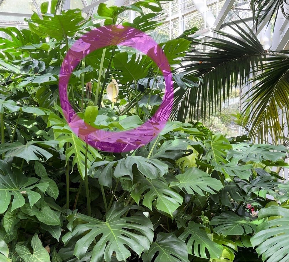 ぺたこ♡さんが投稿したザ・ヴェランダ 神戸に関する口コミの画像