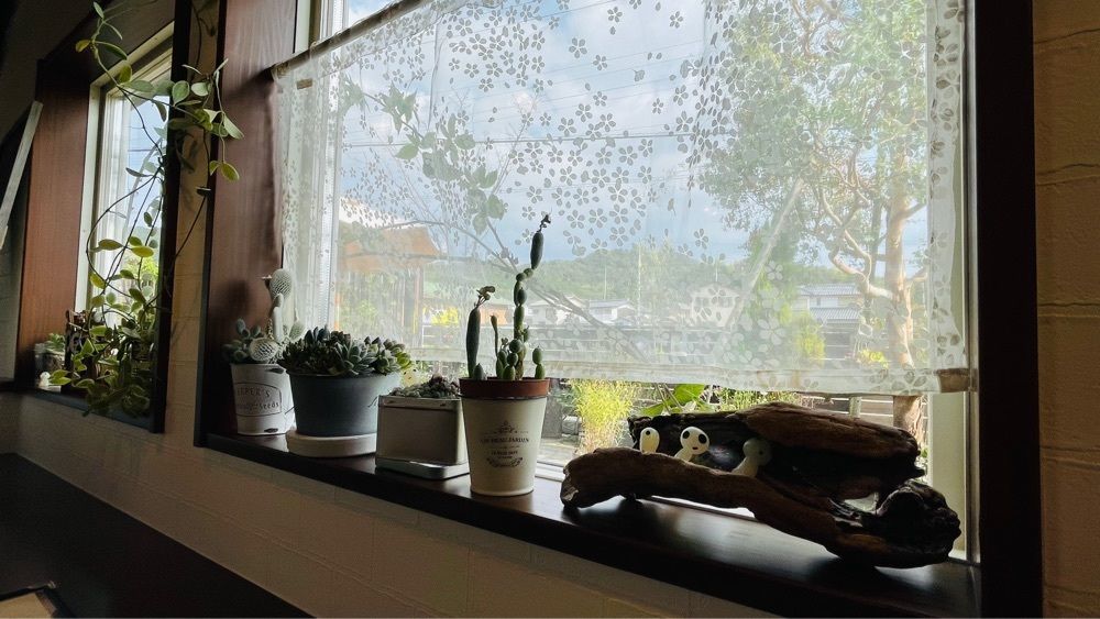 みぃさんが投稿したM's Cafe（エムズ カフェ）に関する口コミの画像