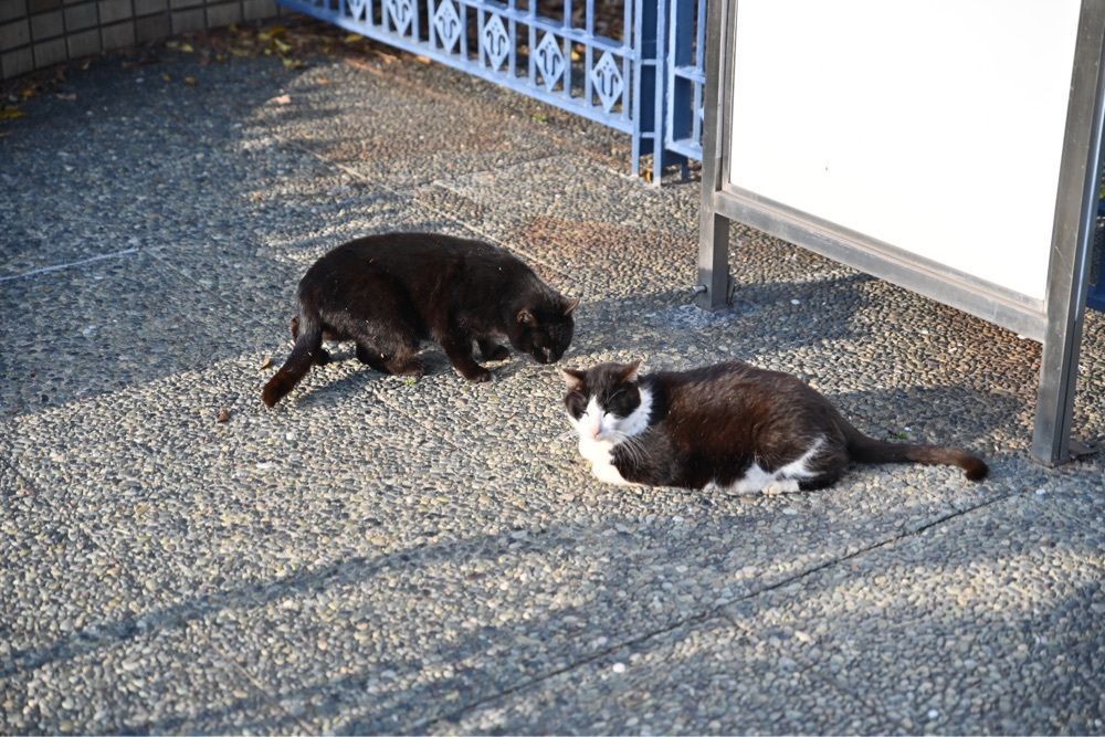 佳さんが投稿した喫茶＆グリル 幸の屋に関する口コミの画像