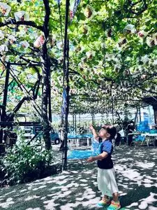 朝日園