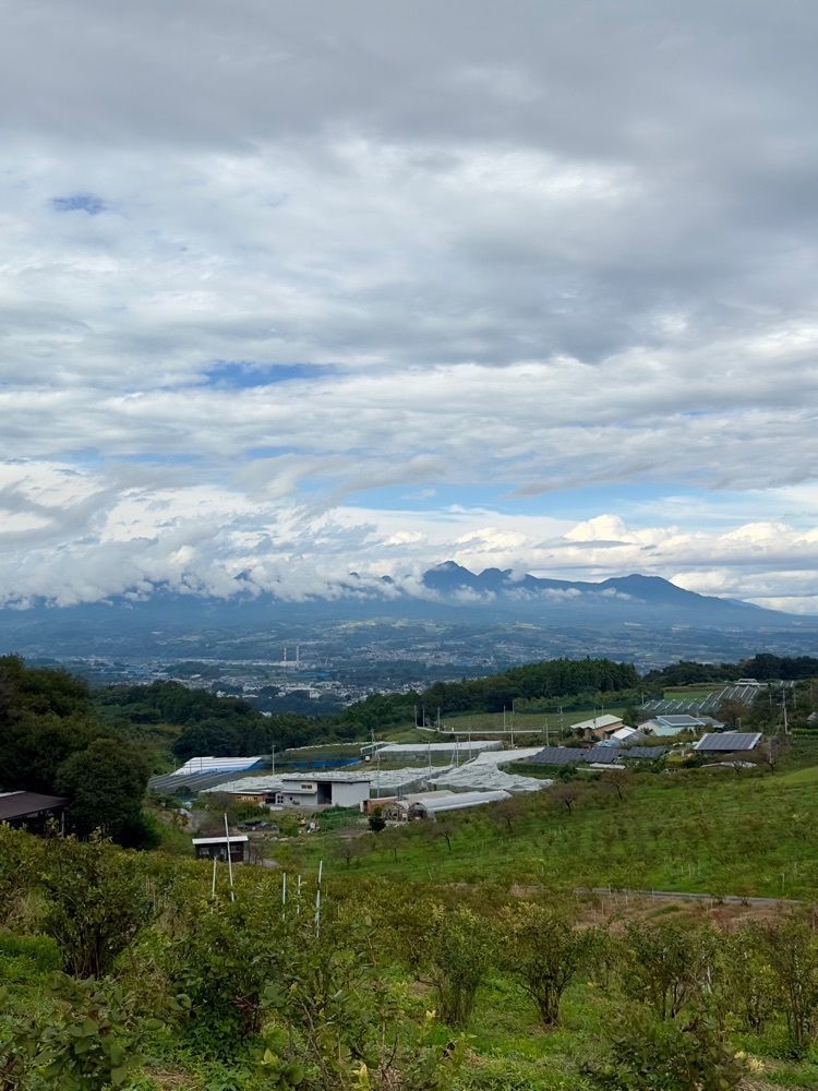 からっ風②さんが投稿した希望の丘農園に関する口コミの画像