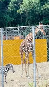 しろとり動物園