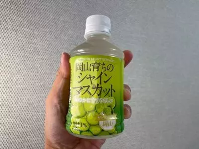 セブンイレブン ハートイン岡山駅在来線改札内店