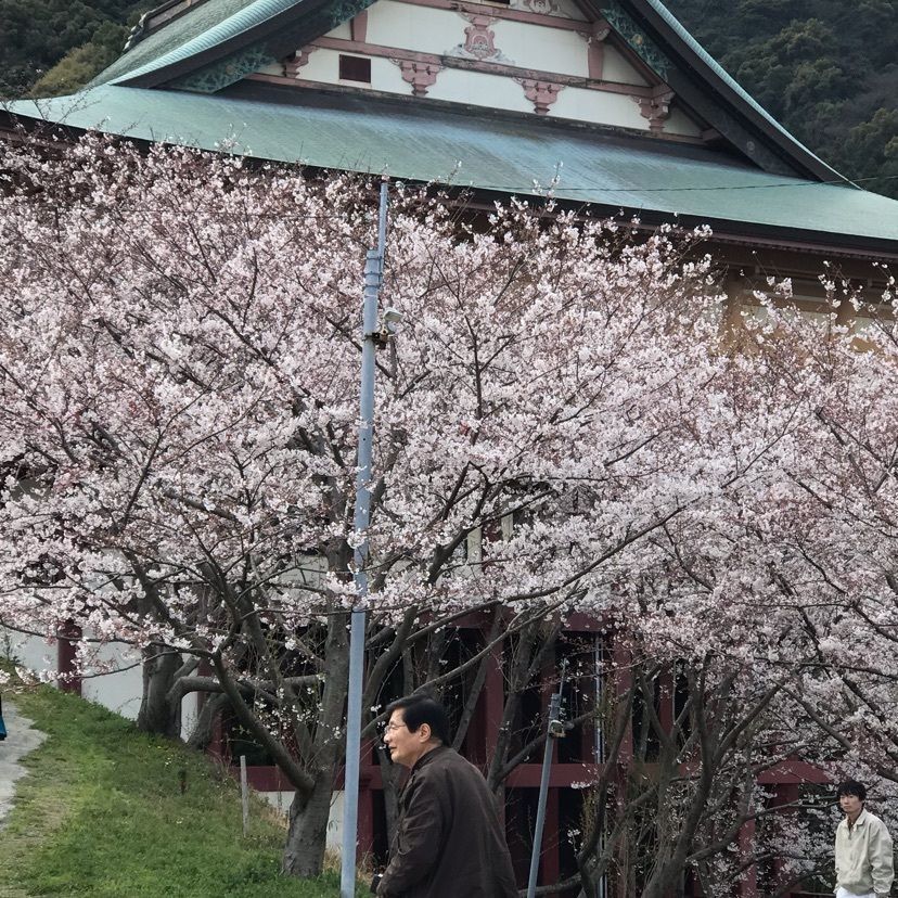 ココアママさんが投稿した成田山不動寺に関する口コミの画像