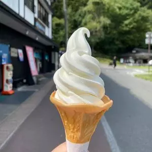 遮那王