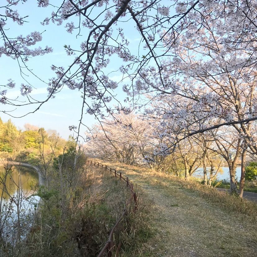 silva→happyさんが投稿したドッグヒル（DOG HILL）に関する口コミの画像