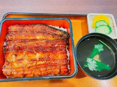 浜名湖うなぎ 丸浜（まるはま）