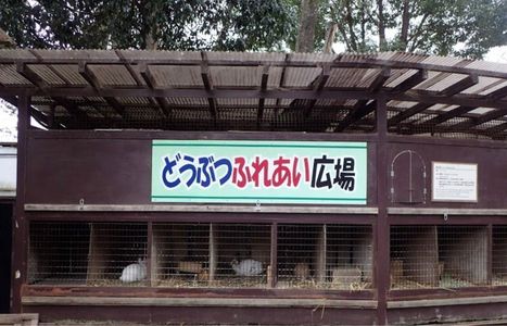 三島市立公園　楽寿園 4枚目