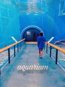 琵琶湖博物館