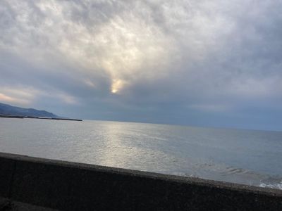 うみてらす名立 名立漁港直送 地魚専門店 1枚目