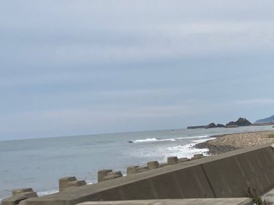 うみてらす名立 名立漁港直送 地魚専門店 3枚目