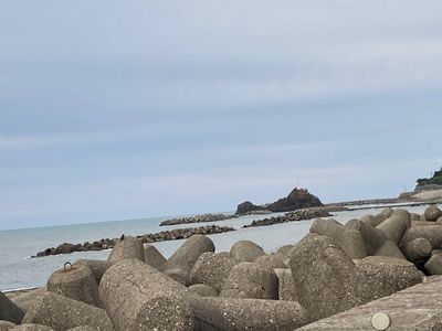 うみてらす名立 名立漁港直送 地魚専門店 4枚目